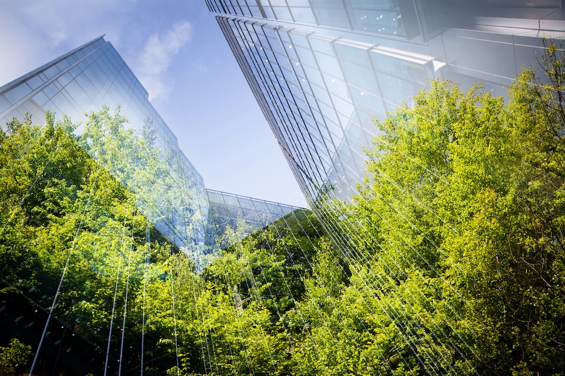 City Landscape